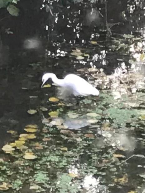 Reveil Aux Chants Des Oiseaux Asse-le-Riboul Екстер'єр фото
